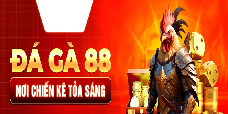 Giới thiệu sảnh live đá gà 88 được yêu thích hàng đầu năm 2024