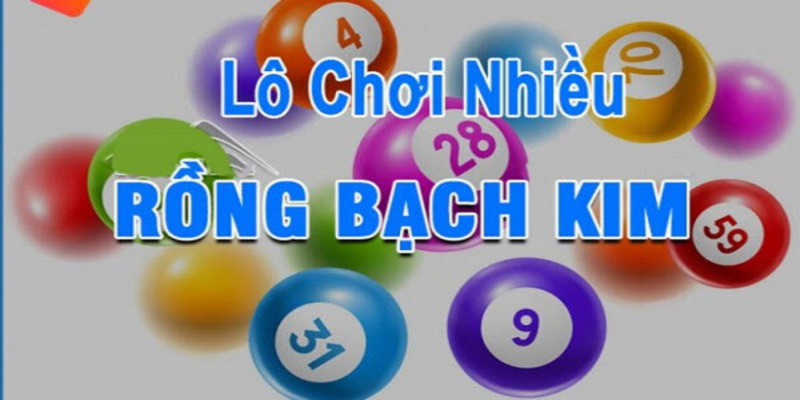 Hãy nắm thật kĩ các loại lô khác nhau khi tham gia tại King88